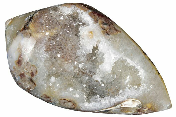 Chalcedony Replaced Gastropod With Sparkly Quartz - India #320806
